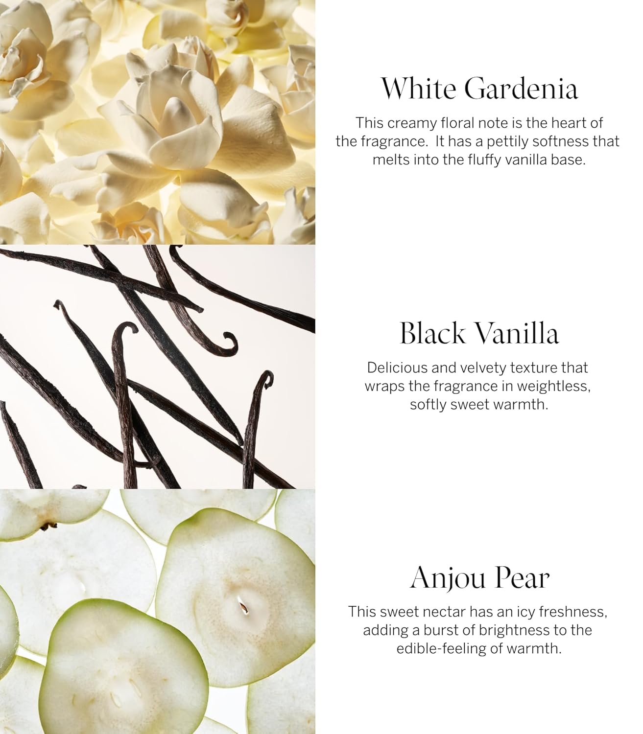 Victoria's Secret Tease Eau de Parfum, Notes of White Gardenia